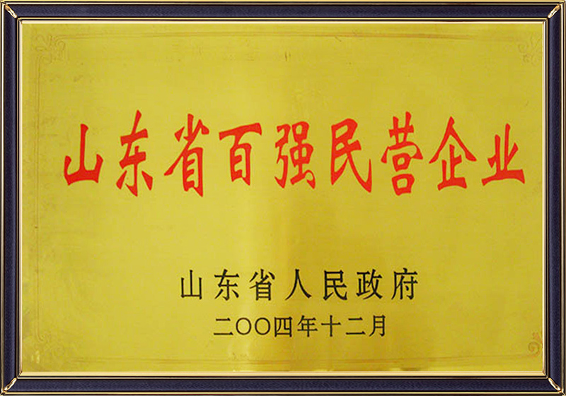 山東省百強(qiáng)民營企業(yè)